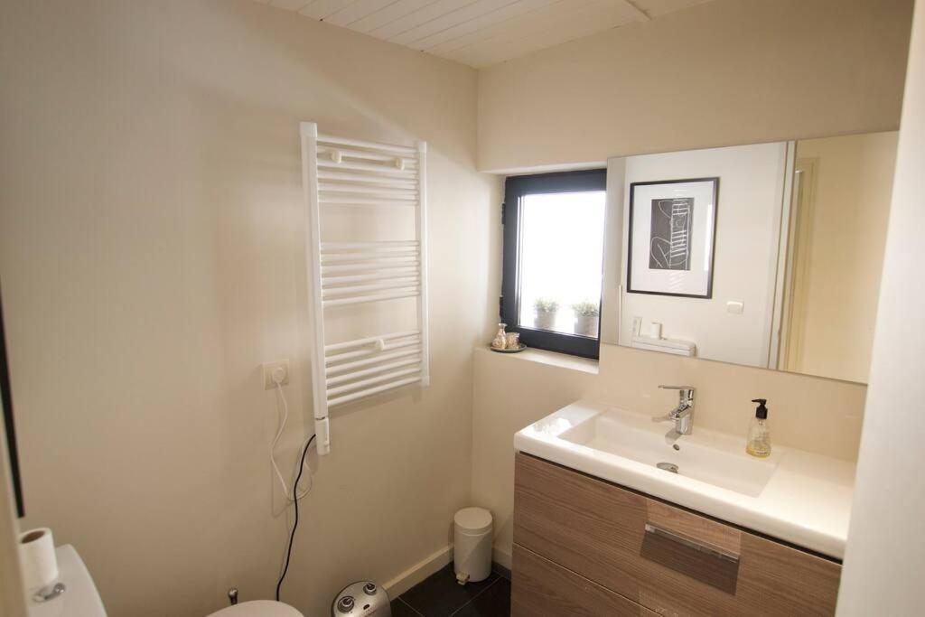 Apartament Central Amb Terrassa Alp Esterno foto